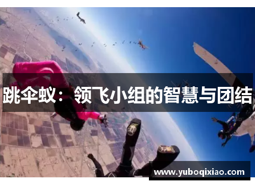 跳伞蚁：领飞小组的智慧与团结